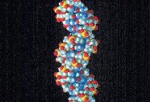 dna.jpg (12765 bytes)